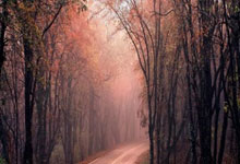 开云体育官网-终场哨响，警报拉响！莱加内斯1-1战平背后的保级生死时速