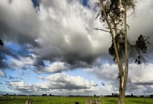 开云体育中国-阿尔艾因球队配合日益默契，世俱杯表现备受关注