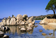 开云体育官网-欧预赛惊艳表现球员风采回顾