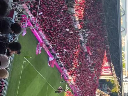 开云官网-包含大阪樱花与山东鲁能战平，成功保住晋级机会！的词条