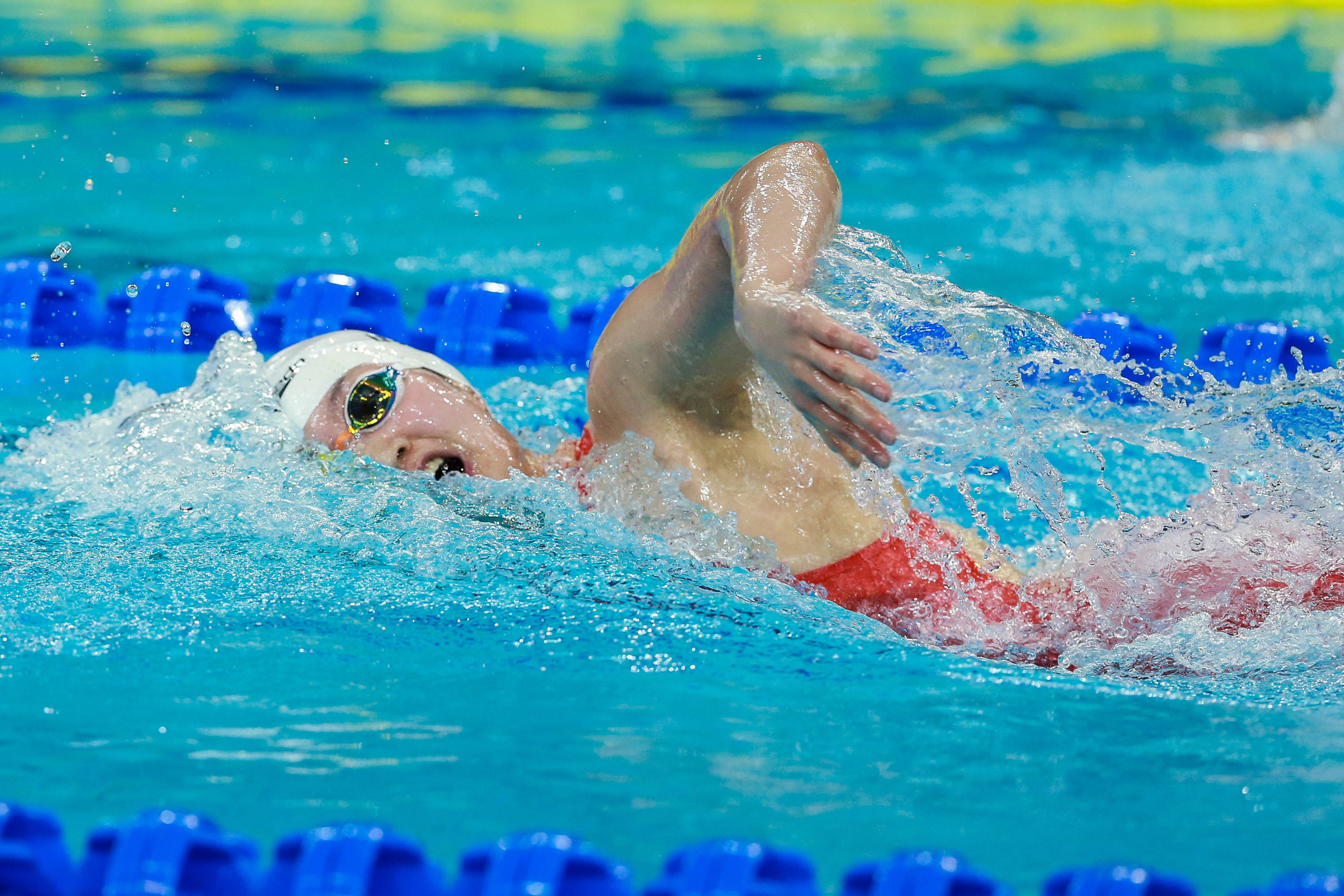 法国游泳队完美表现,登顶领奖台 法国游泳队完美表现,登顶领奖台