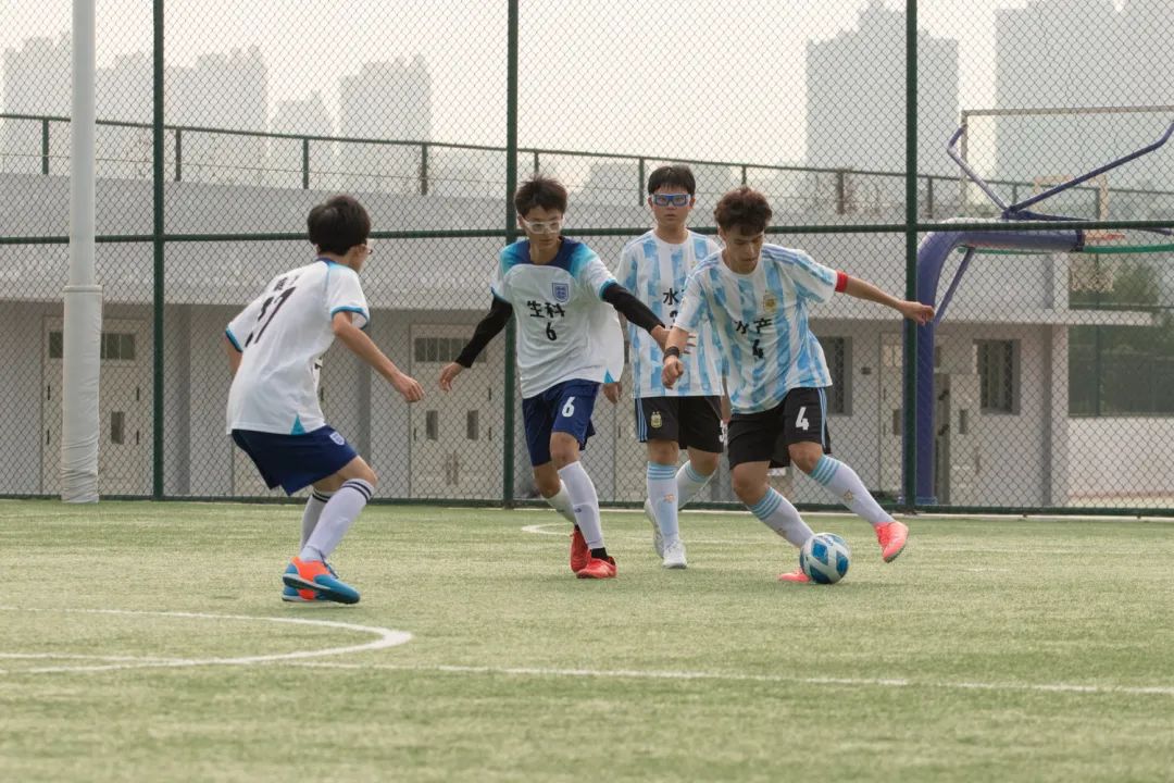 红蓝战队在绿茵场上展开激烈争斗 红蓝战队在绿茵场上展开激烈争斗