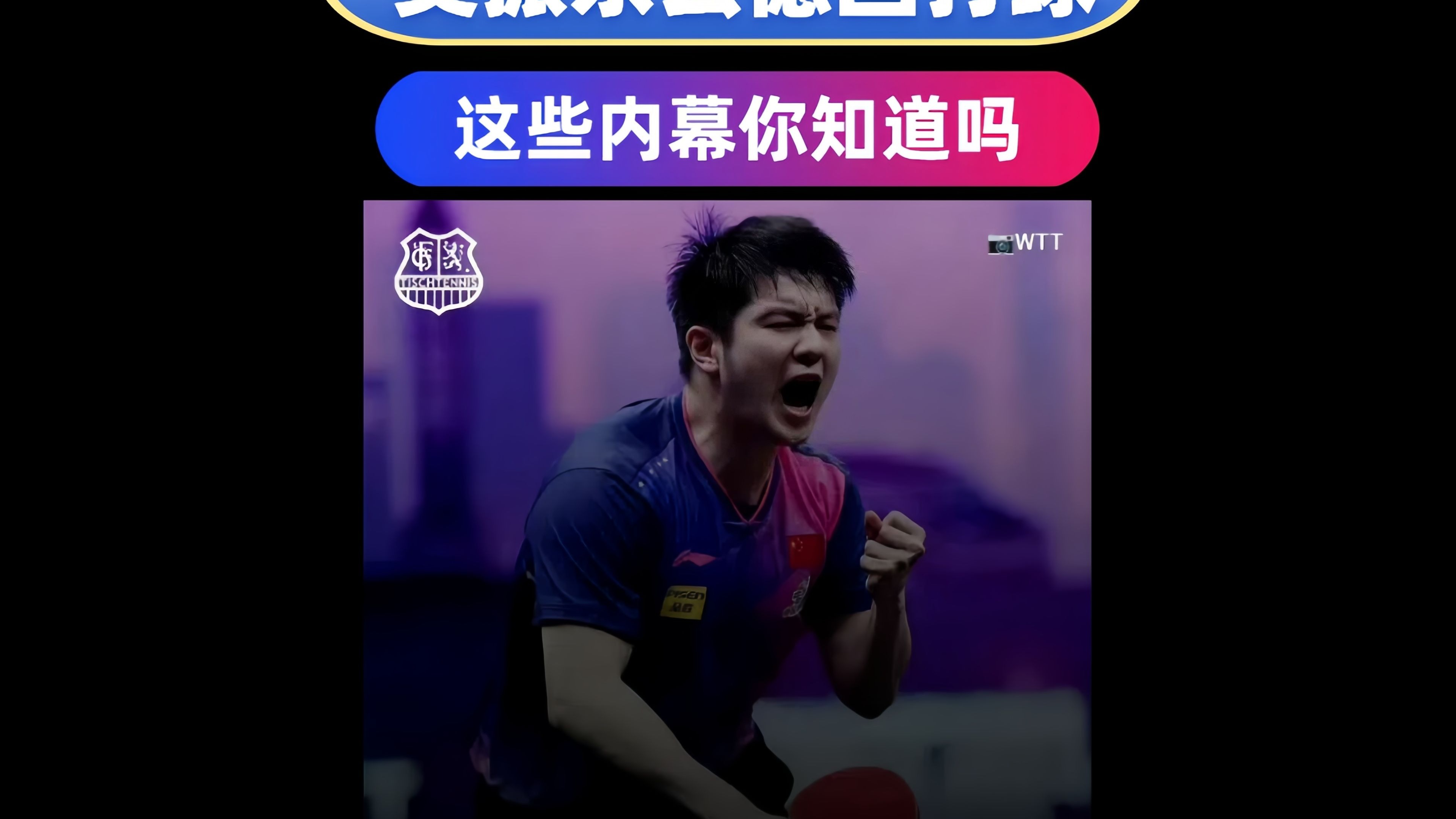 开云体育在线-包含日本乒乓球队轻取德国乒乓球队，樊振东绝境逆转的词条