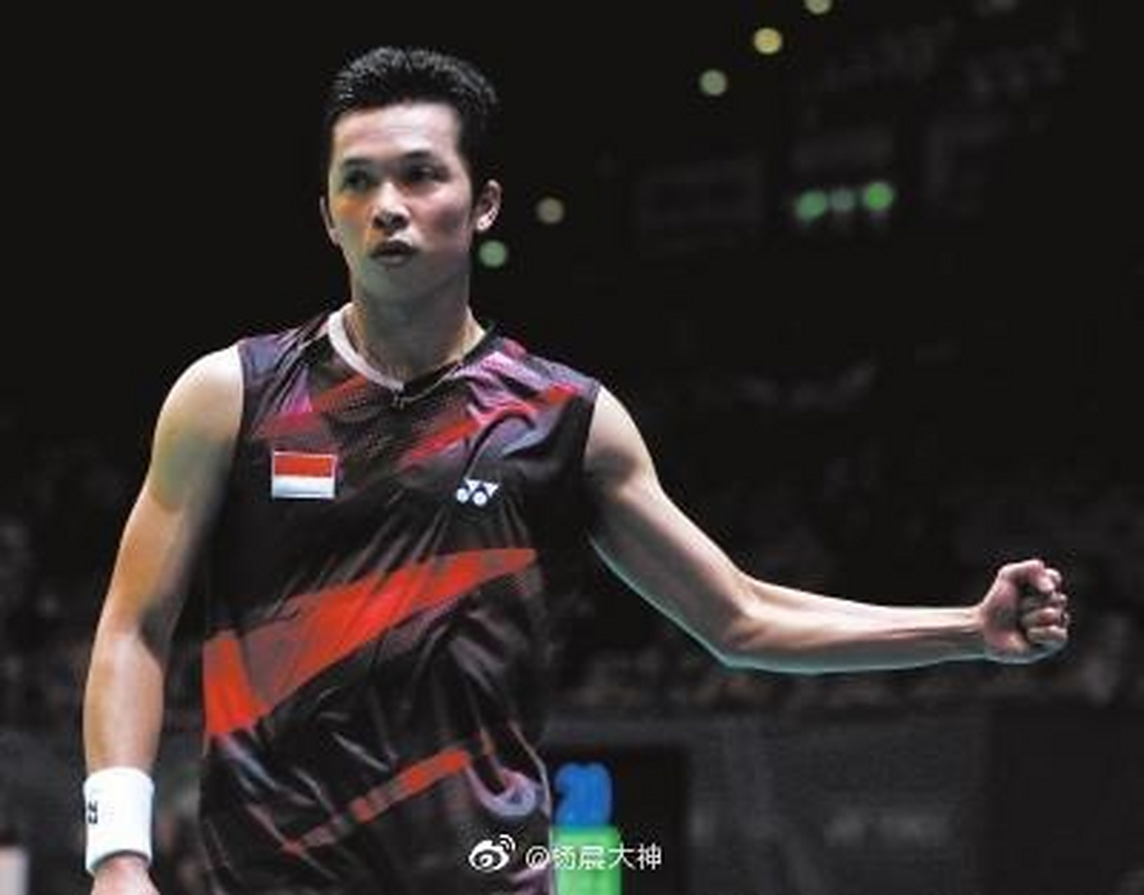 英格兰羽毛球队翻盘法国羽毛球队，陶菲克关键制胜的简单介绍