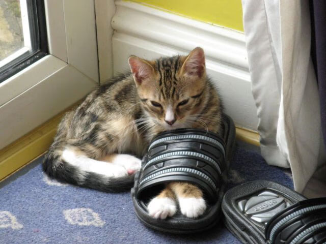 万箭穿心,火箭火力覆盖北京;重焕新生,爱德华兹一战封神