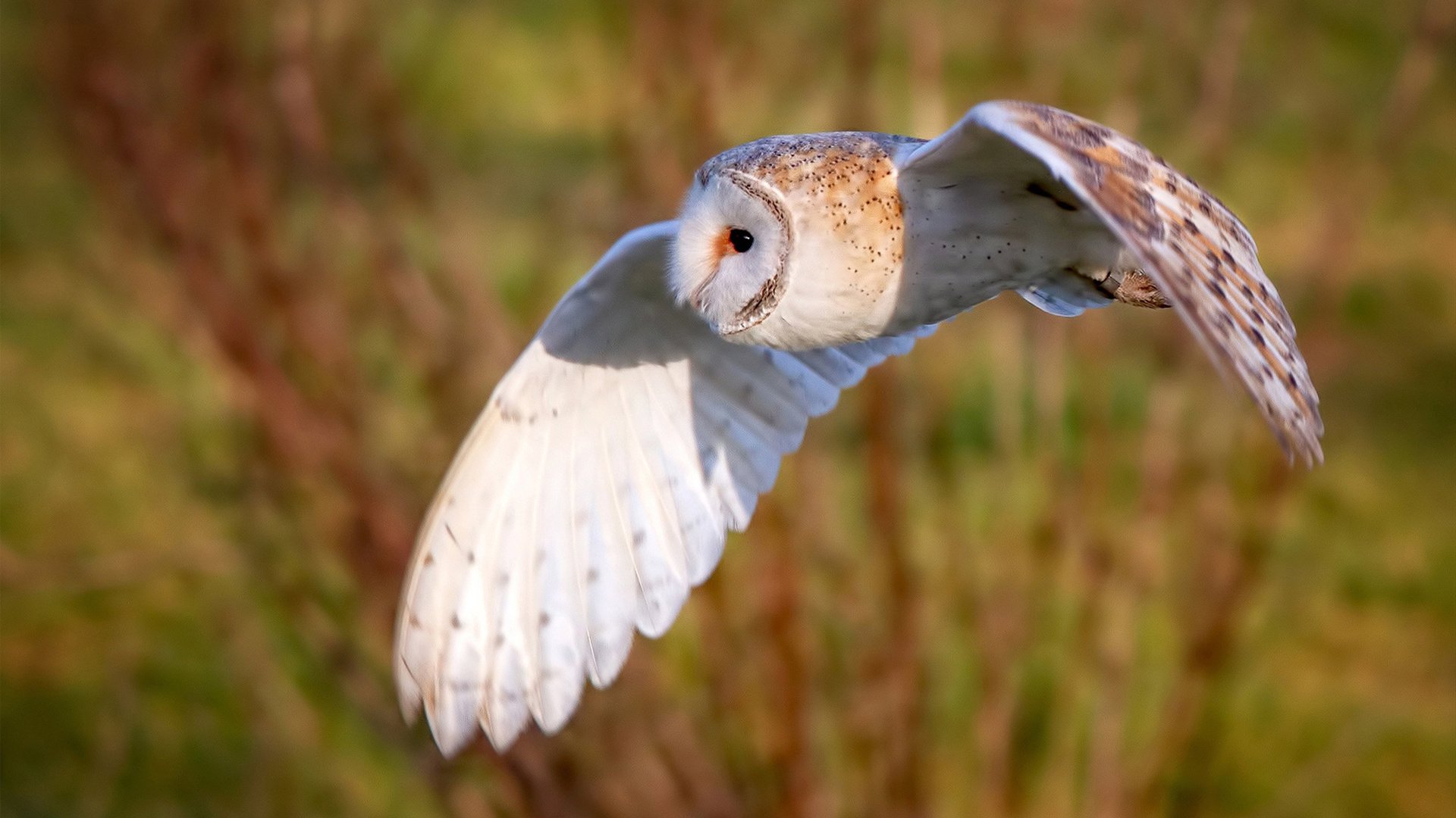 超越想象的融合之战,广东队碾压尼克斯,詹姆斯化身关键先生改写剧本
