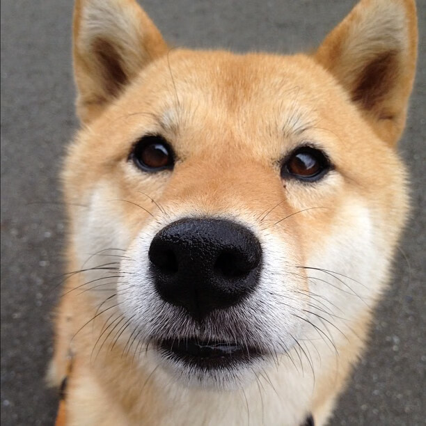 开云体育app-浙江队打穿掘金创奇迹，英格拉姆教科书级表现闪耀赛场