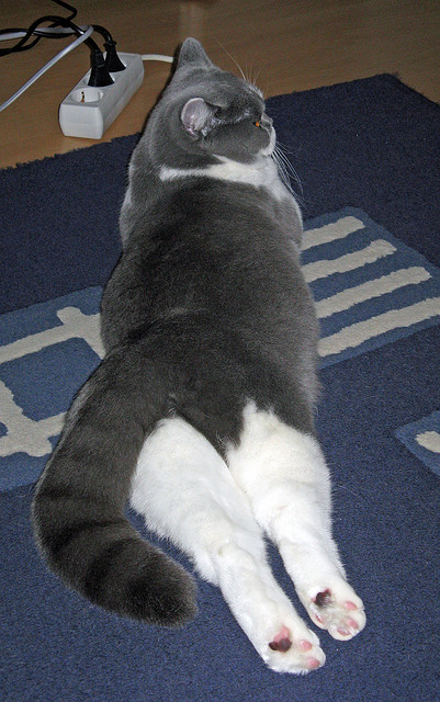 开云APP-沪上风暴席卷季后赛，上海男篮打穿浙江，展现冠军级攻防统治力