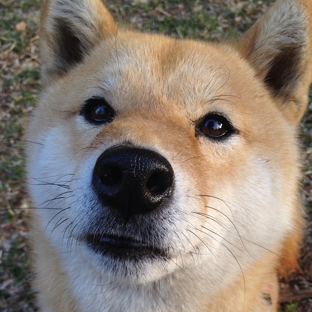 双线逆转,从雷霆到杜兰特,篮球世界的不败意志