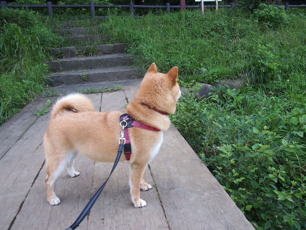 开云平台-浙破蜂群，贝恩神迹助浙江队争冠战突围