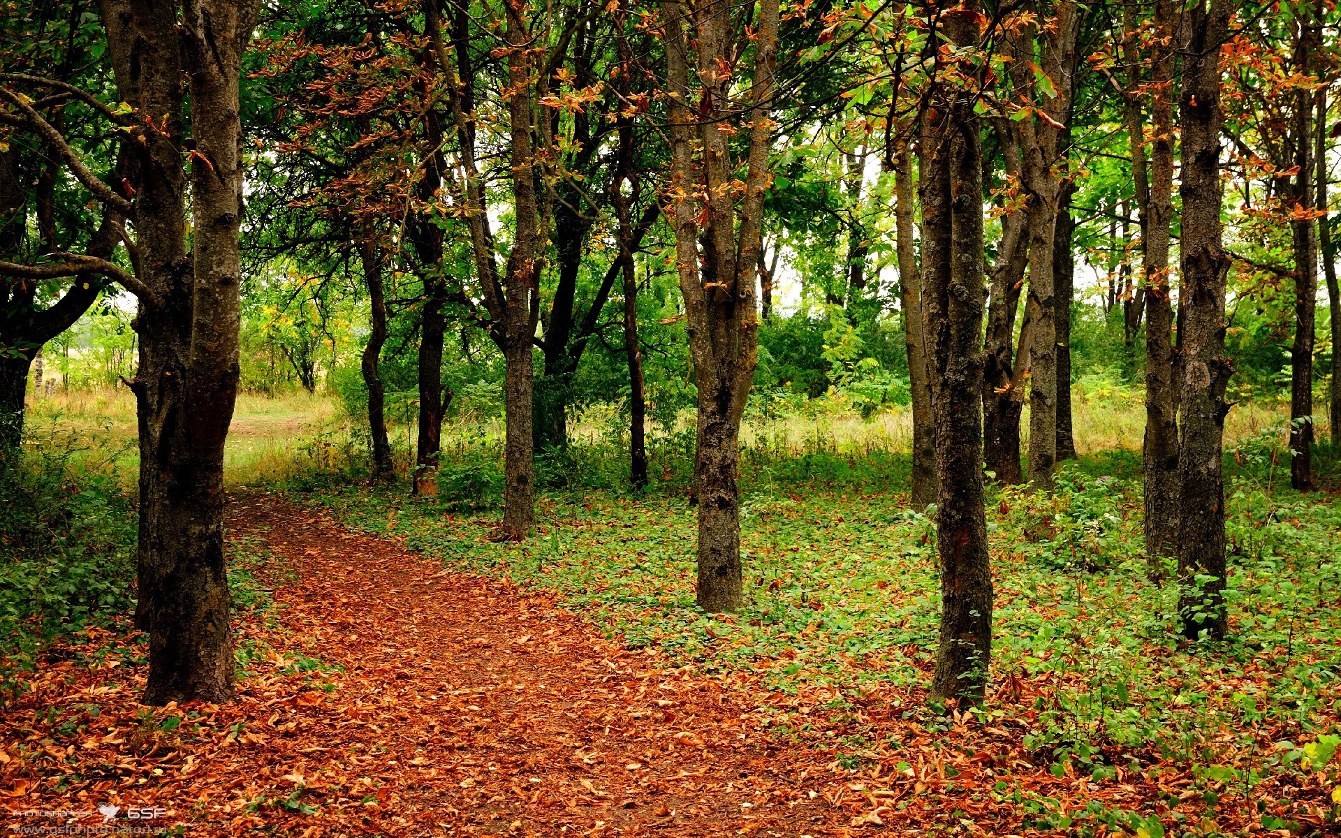 开云官网-巴雷拉锋芒毕露，马德里竞技火力全开压制新西兰获大胜