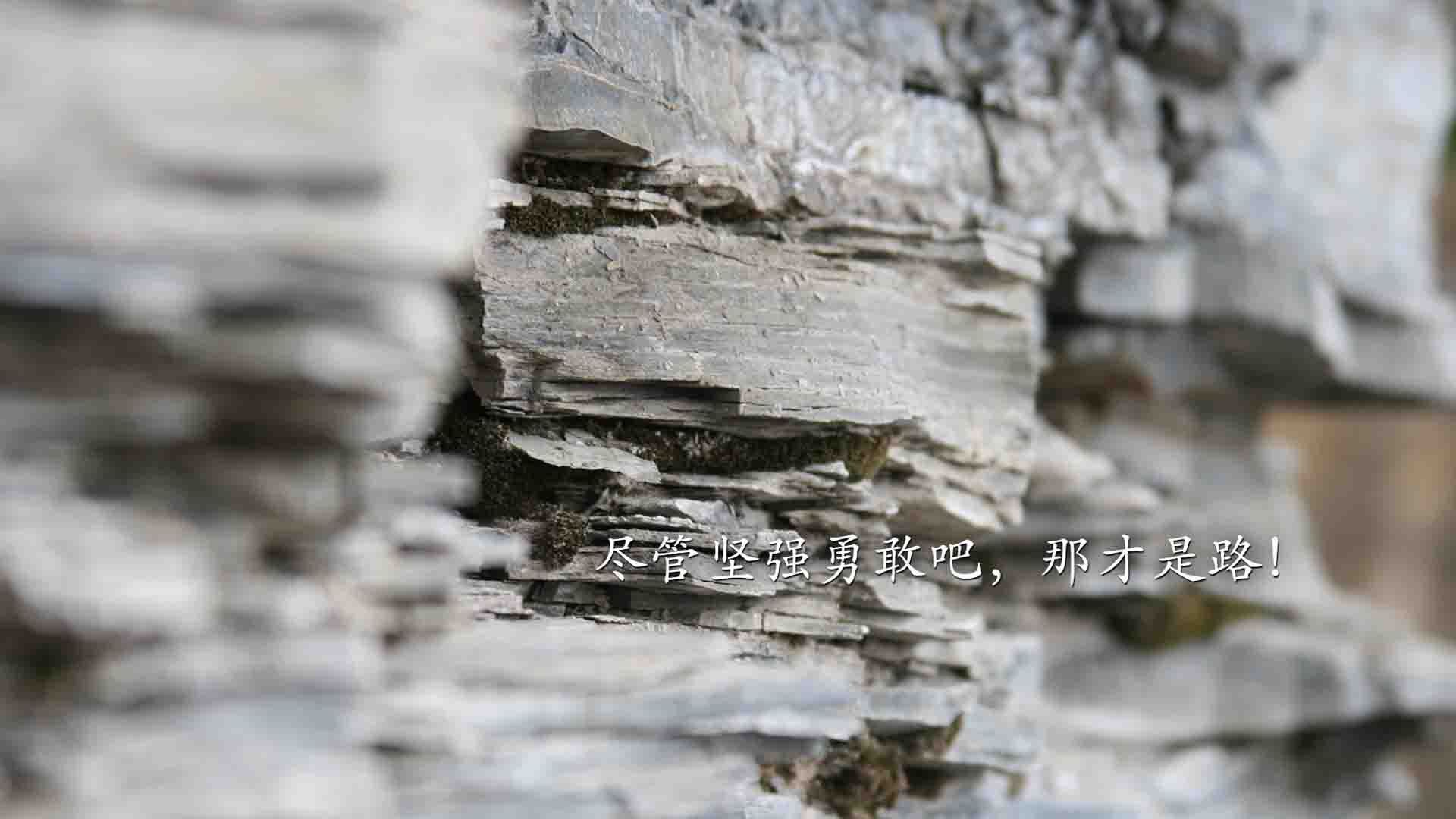 开云平台-血拼与接管，两地篮球战场的共同答案