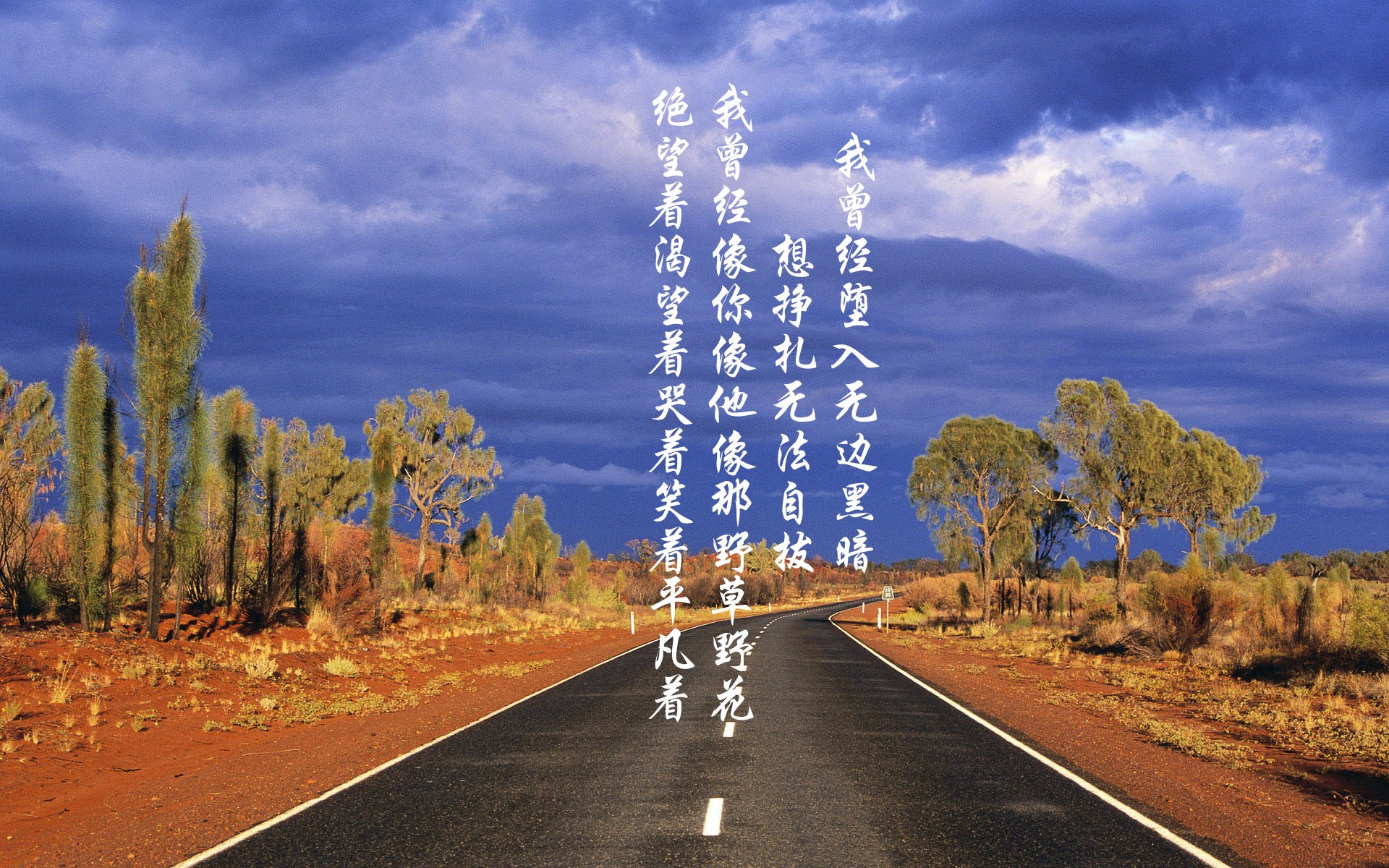 富安健洋,压不垮的后防磐石,爱尔兰的喀麦隆困局