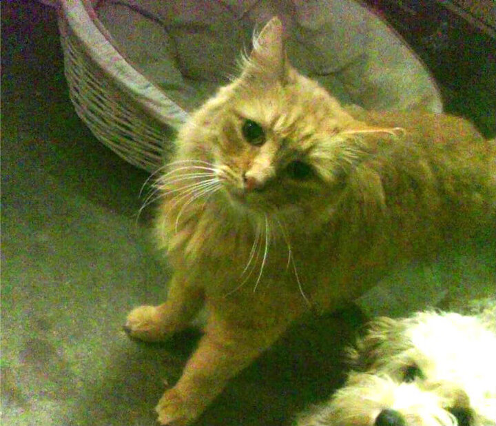 开云体育在线-马刺硬仗取胜凯尔特人，恩比德全程高能输出，赛场激情与荣耀