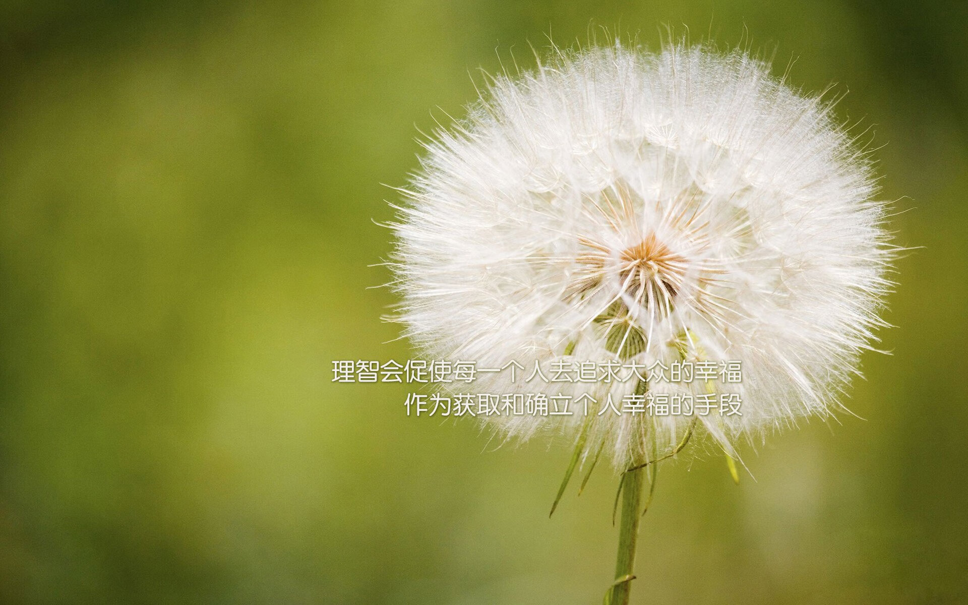 开云下载-桑巴舞者谢幕夜，德里赫特用混凝土防守浇筑巴黎铁塔