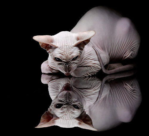 铁网锁狂澜,关键先生破坚冰,利物浦防守艺术与福登的闪耀时刻