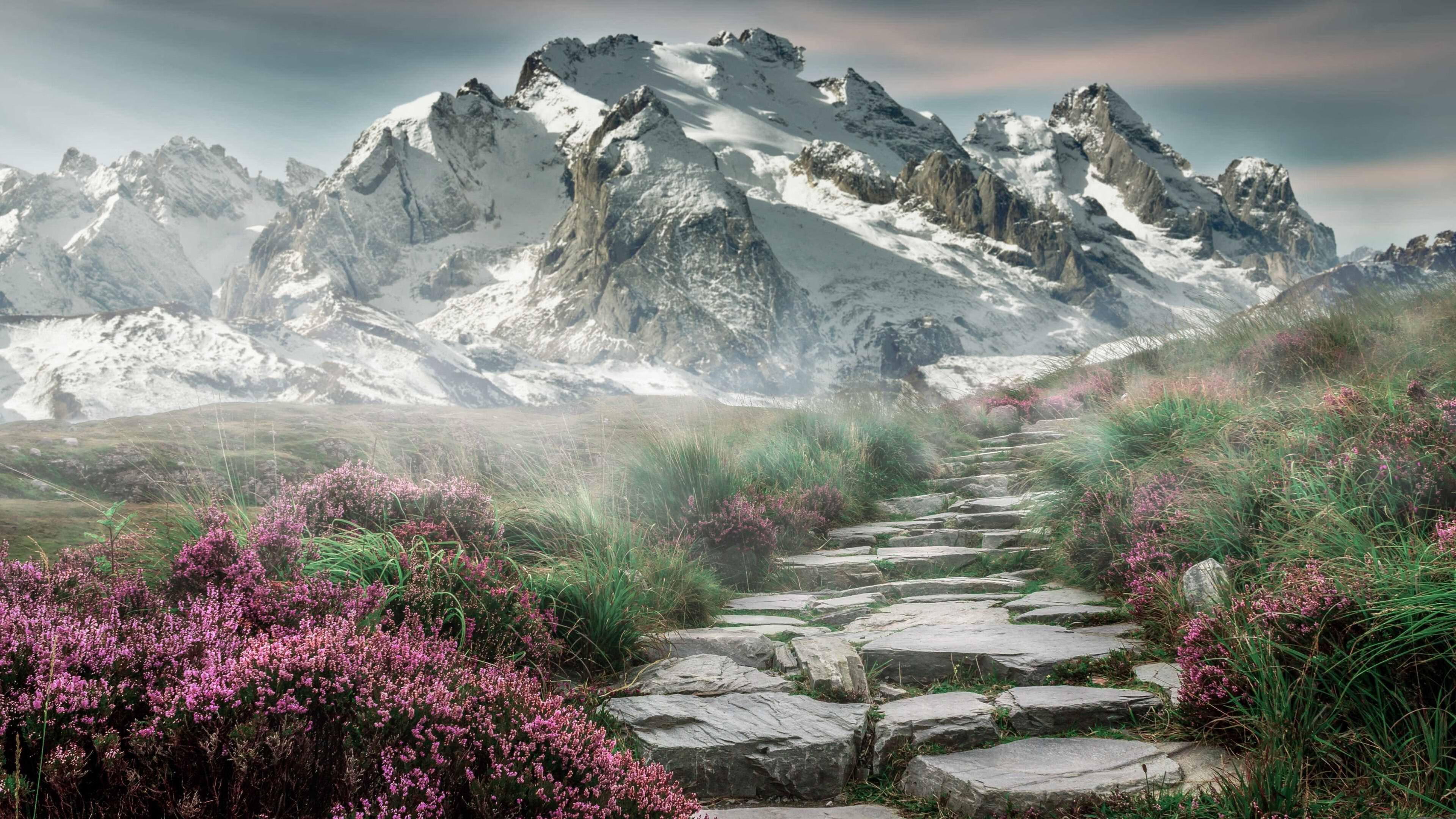 凯塞多起舞圣西罗,几内亚节奏如何驯服红黑军团