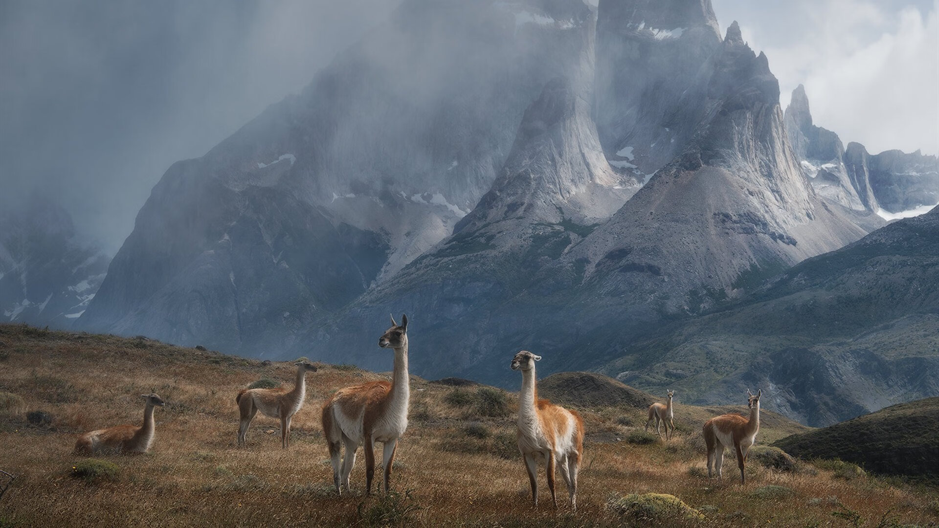 罗马城头炮火轰鸣，阿尔瓦雷斯孤胆擎旗
