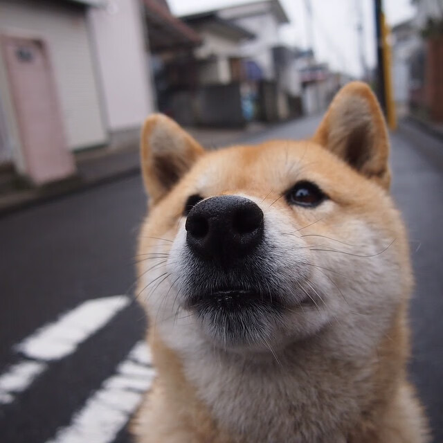 委内瑞拉提前终结悬念，维尼修斯关键先生闪耀赛场