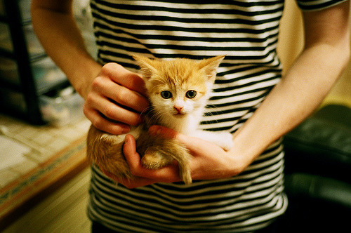 热浪吞噬菲尼克斯，新疆队火力全开，福克斯一锤定音成胜负手