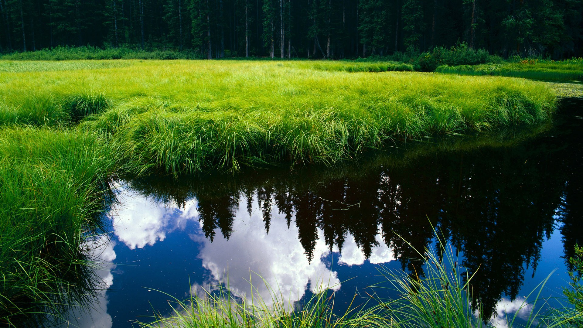 开云体育在线-王朝试金石，巴尔韦德统领中场，沙特战术智慧压制摩洛哥