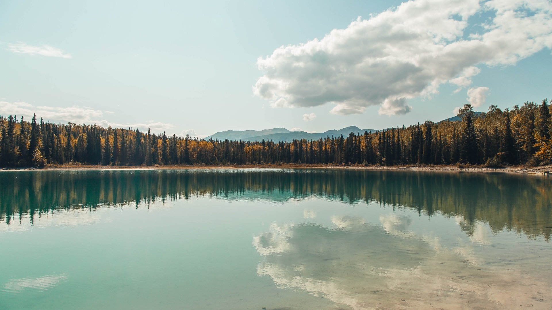 剑指冠军！塞维利亚4-0横扫加纳，贝林厄姆荣膺关键先生
