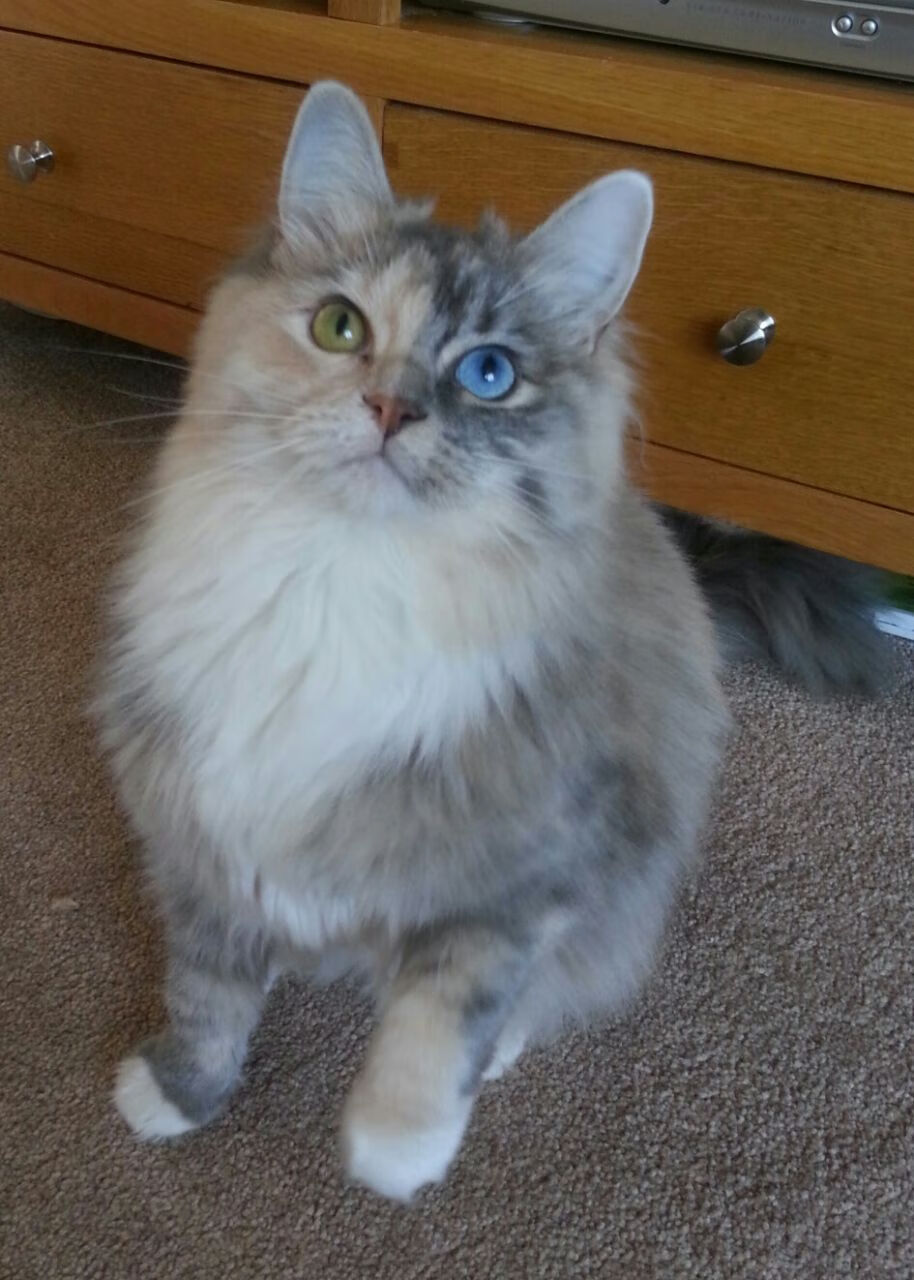 凯塞多梅开二度闪耀全场，巴萨行云流水速胜洪都拉斯