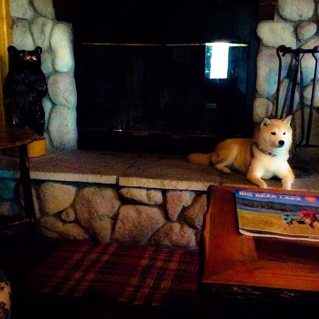 开云平台-英格拉姆狂飙接管年度焦点之战，浙江队爆冷击败篮网创历史